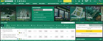 Comprehensive BetWinner Bonus Guide Maximizing Your Rewards