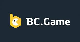 Exploring the Features and Functions of the BC App -771336042
