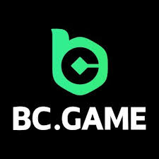 Exploring the Features and Functions of the BC App -771336042